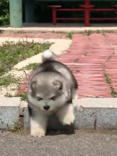 To go down a single step