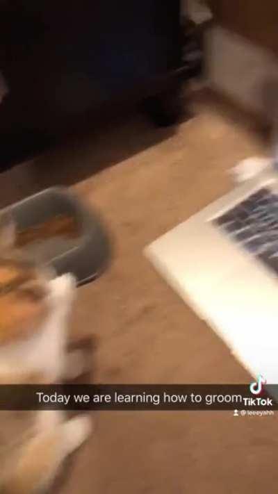 Winnie learns to clean herself