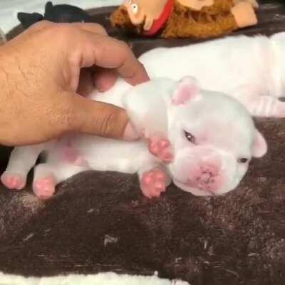 That’s the spot right there