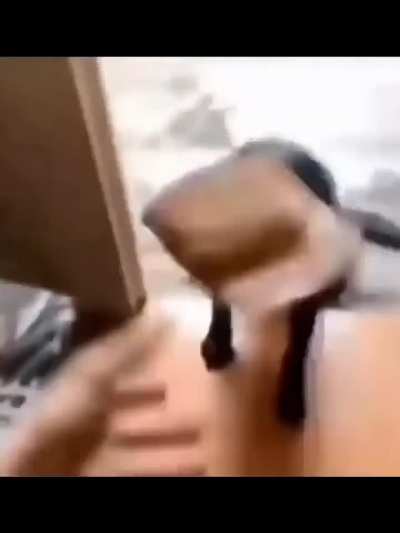 alhamdullilah he has ben nourished!