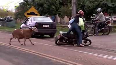 Brazil = Retro Cyberpunk yeaaa