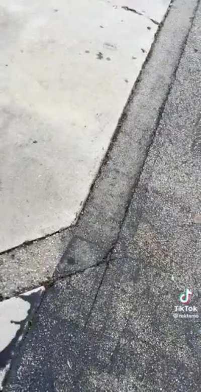 this some fuck shit😭😭