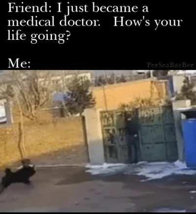 It's a dog-eat-dawg world