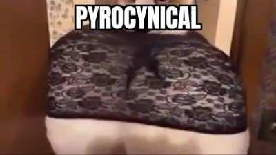 Hope y'all enjoy my meme