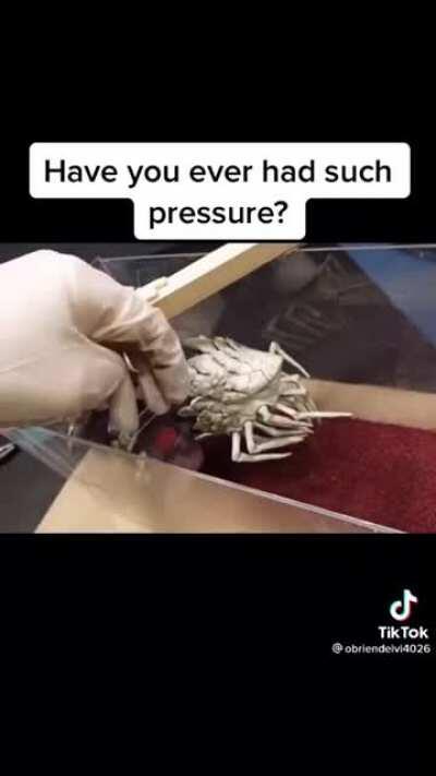 Everything about this video terrifies me