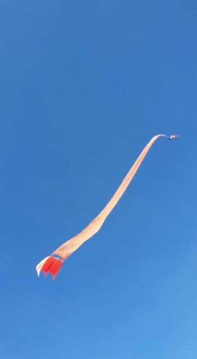 my sky people need me