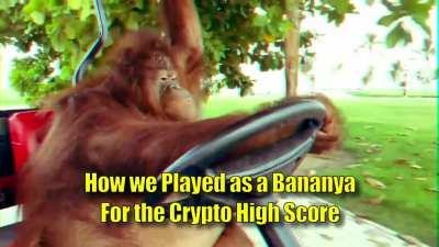 Apes Everywhere Driving into Work knowing that today may be your last. The Daily Commute Feat - /u/BodySurfDan.