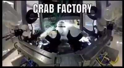 Crab
