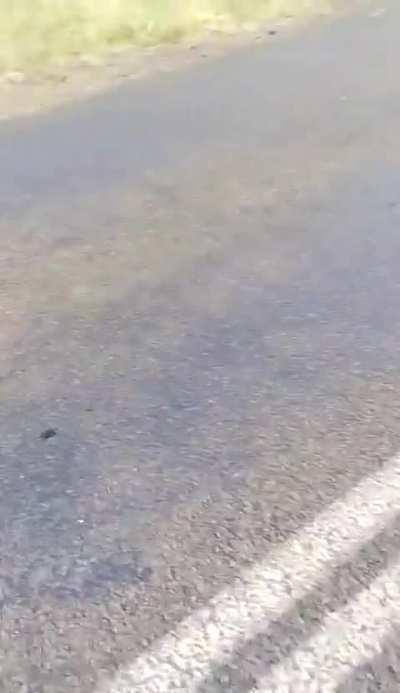 They still think they are being oppressed...