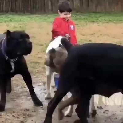 The finest protection unit