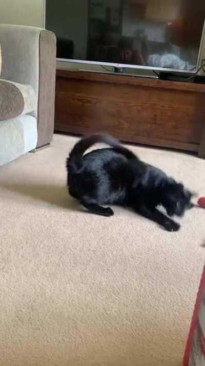 The greebles are tickling her