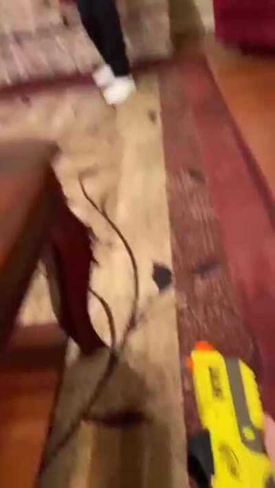 Não atire por favor!