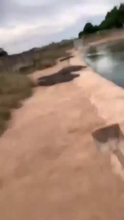 Marathi boys. Is this one of you?