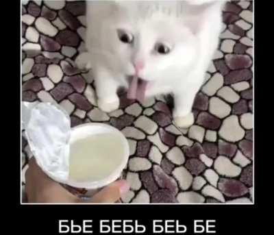 Russian cat ☭