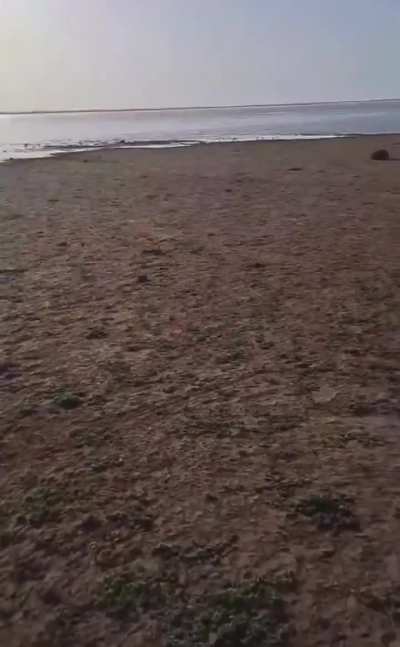 Sudanese soldiers fire on Rapid Support Forces rebels trying to escape across the Nile River after losing control of the whole capital city to the Sudanese Army