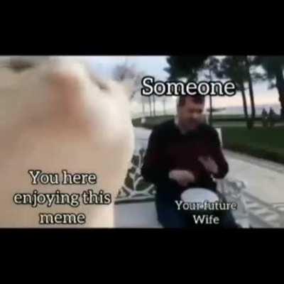 It's funny because it's true