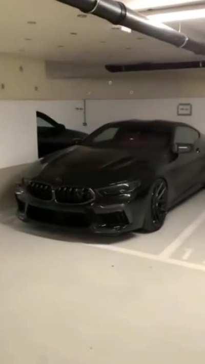 a scary tiger 🔥🔥