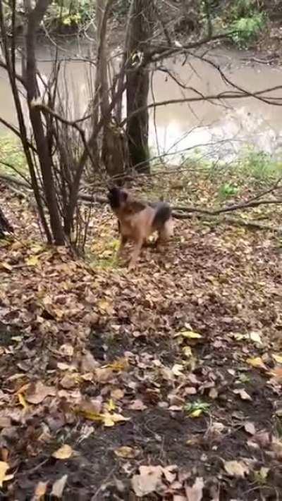 Come. On. Branch. I. Want. You. Now.