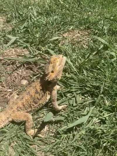 Welcome to Jurassic Park