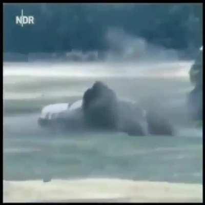 Maybe don’t fuck with Rhinos