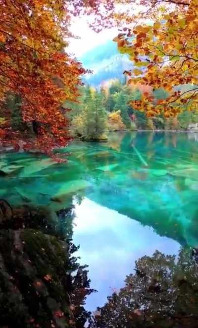 🔥 The well known blausee lake,with its crystal clear blue water, Switzerland.