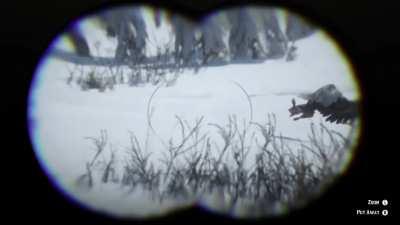 RDR2 x National Geographic