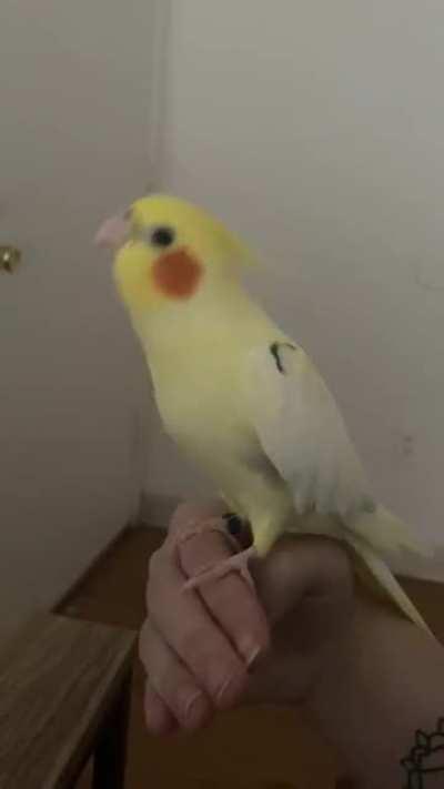 Guess what today is!!!