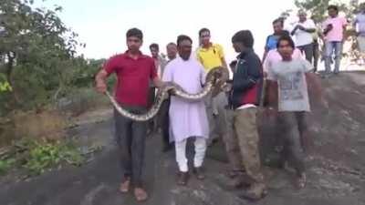 Змея знает кого кусать