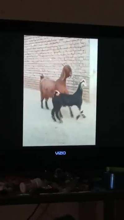 You and your best friend tripping in public