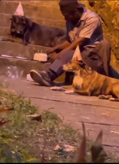 the longer version of birthday dog