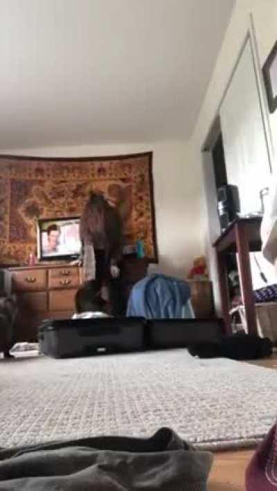 Didn't like the prank!