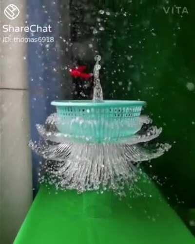 My family's WhatsApp group be like