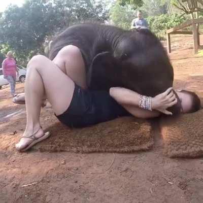Baby elephant cuddling with woman