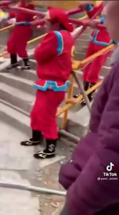 To carry the princess