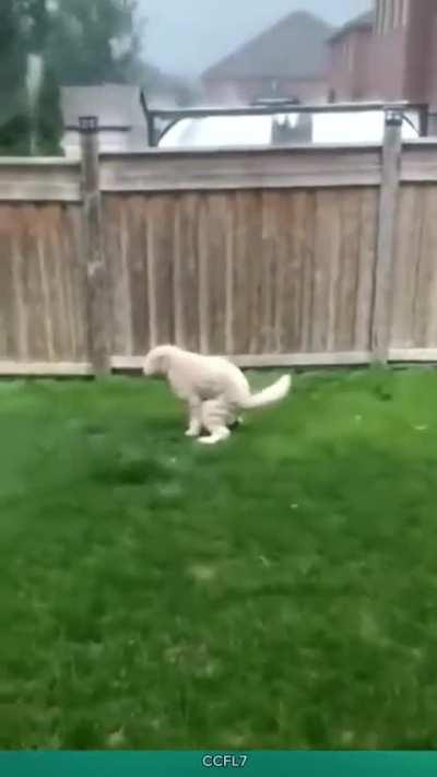 Ele tem um objetivo... e nada vai o interromper 