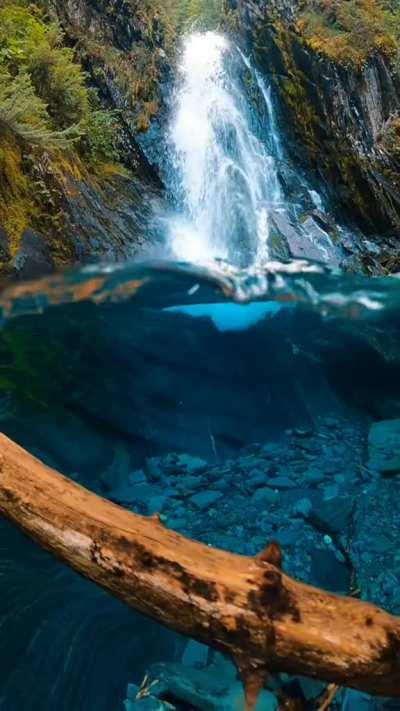 how do you feel about this one?