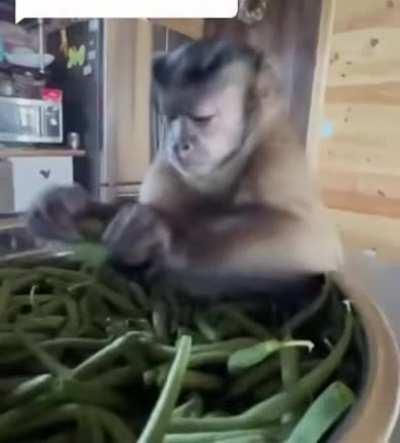 Prep workers be all like