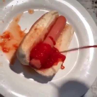 Yum yum hotdog and ketchup.
