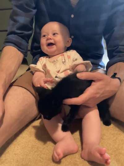 My daughter is seeing kittens for the first time