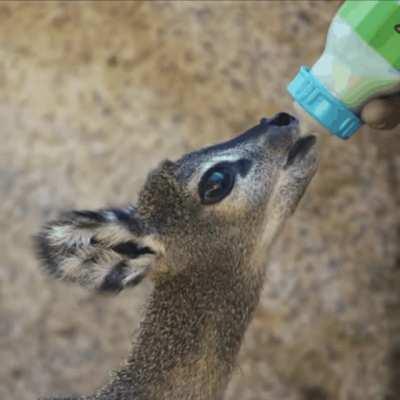 had to mark spoiler because of how adorable this little baby is!