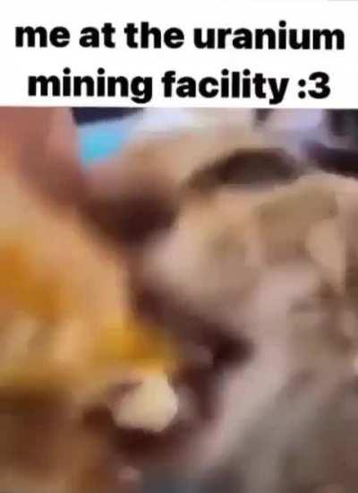 fuck it, posting random memes everyday pt.1