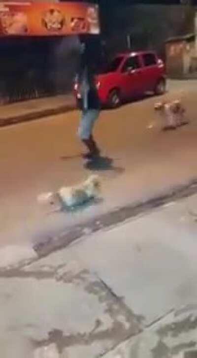 Cobra Kai deleted scene