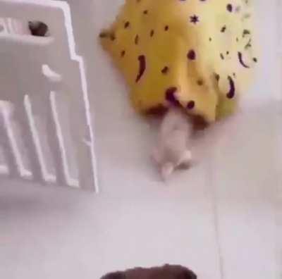 vIlE sLug cReAtuRe VICIoUslY DeVourS HelPLess PuPpIeS