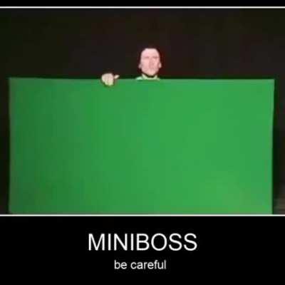 MiniBoss