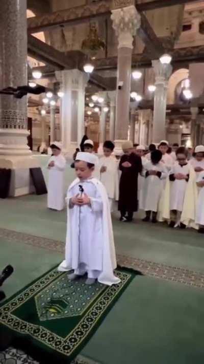 Best Video you will see this today!