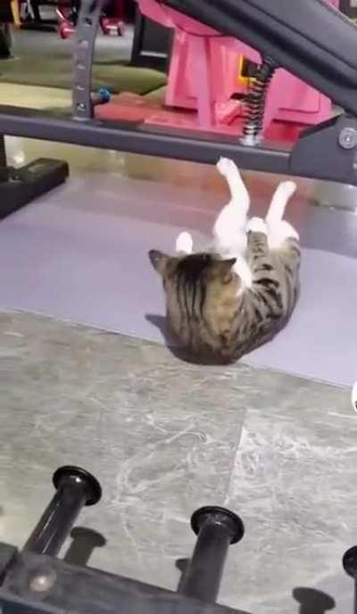 Train insane or remain the same.