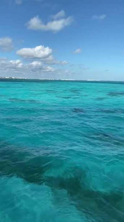 Always love the extra blue patches of water 🌊