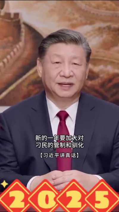 习主席新年贺词真话版（3）