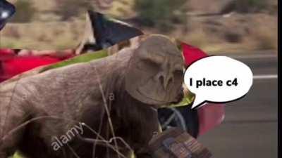 Craig Fucking Explodes (I actually put effort into this please appreciate)