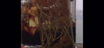 Ksi deep fake on Ainsley